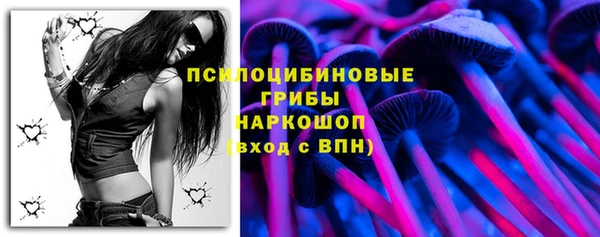 крисы Коряжма