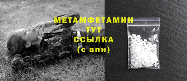 крисы Коряжма