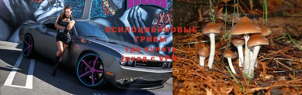 скорость Кулебаки