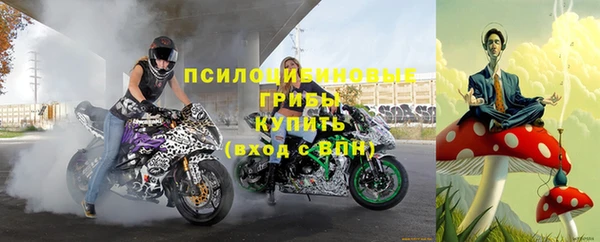 МДПВ Куйбышев