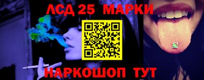 молекула духа Камышлов