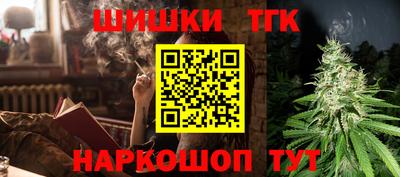 хмурый Кингисепп