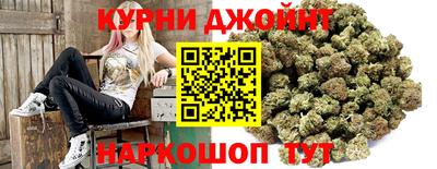 молекула духа Камышлов
