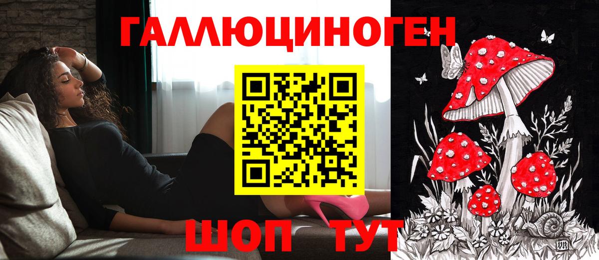 Галлюциногенные грибы мухоморы Михайловка
