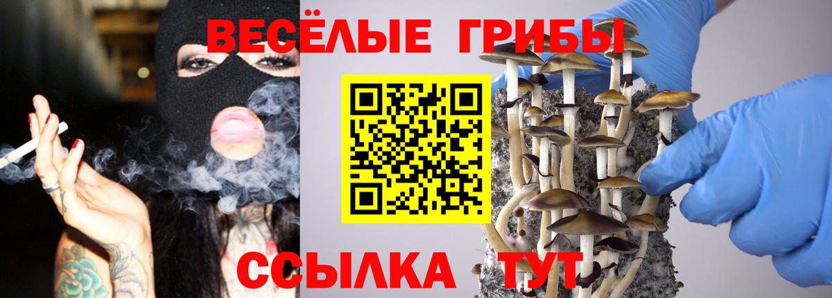 Псилоцибиновые грибы Psilocybe  Вход с VPN  Псилоцибиновые грибы мухоморы  купить наркотики сайты  Михайловка 
