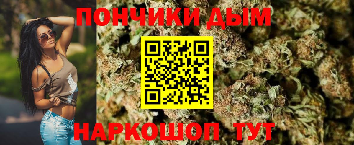 Конопля марихуана Михайловка